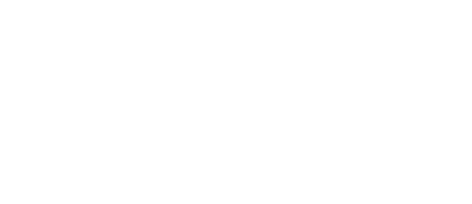 CMO Whisperer logo